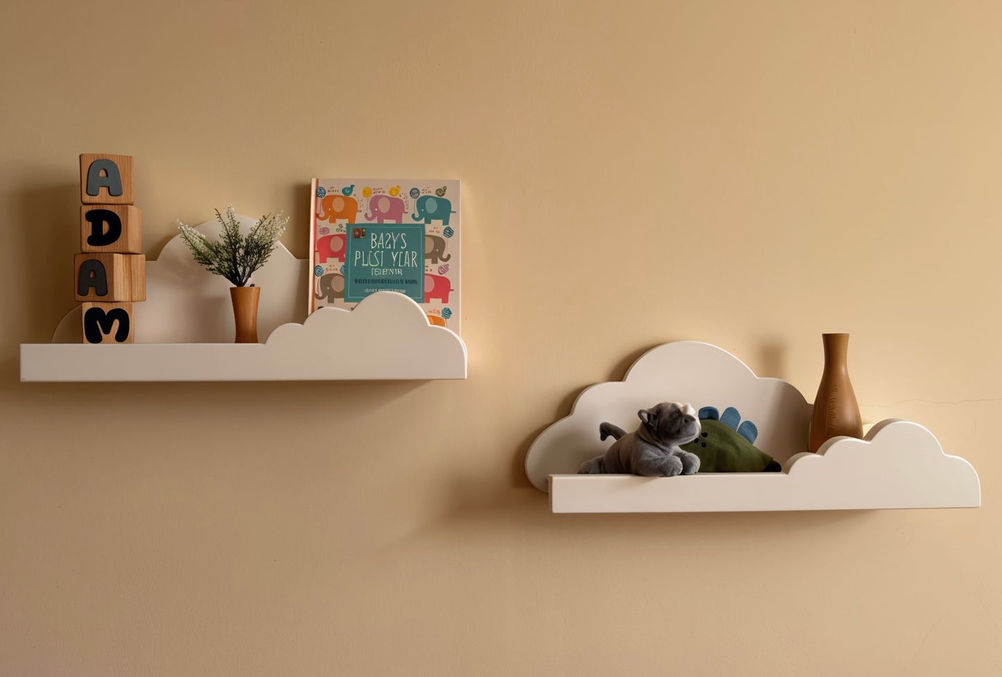 Cloud Nine Shelf