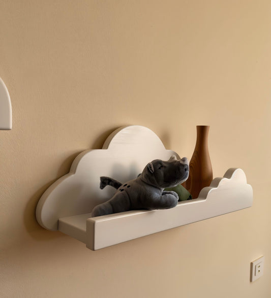 Cloud Nine Shelf