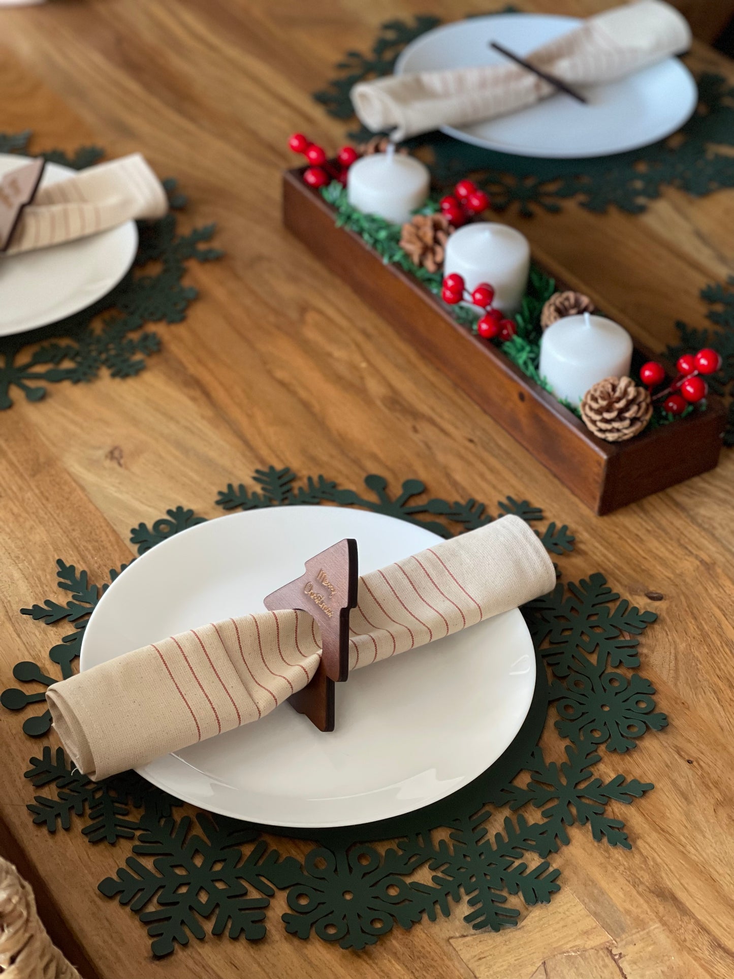 Leather Snowflake Sparkle Placemats